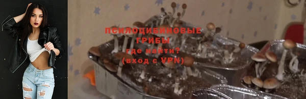 бошки Верея
