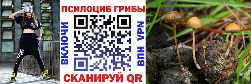 Галлюциногенные грибы ЛСД  Купить  Белоозёрский 